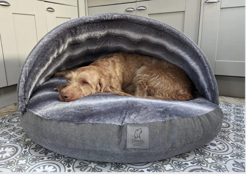 Collared Creatures Beds 65cm Diameter - Removable Hood Collared Creatures - NEW Grey Luxury Dog Cave Bed