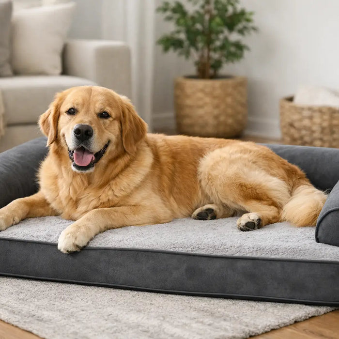 Orthopaedic Dog Bed for Large Dogs Guide