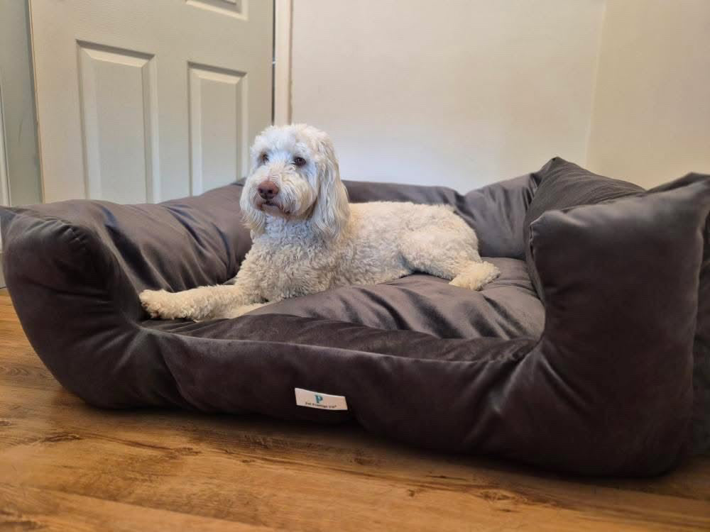 Luxury Dog Bed UK (2026 Trends)