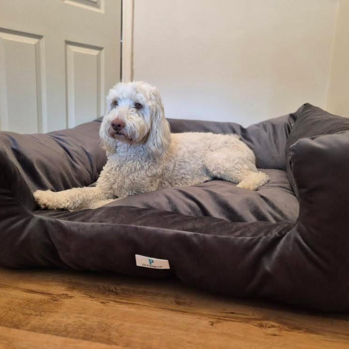 Luxury Dog Bed UK (2026 Trends)