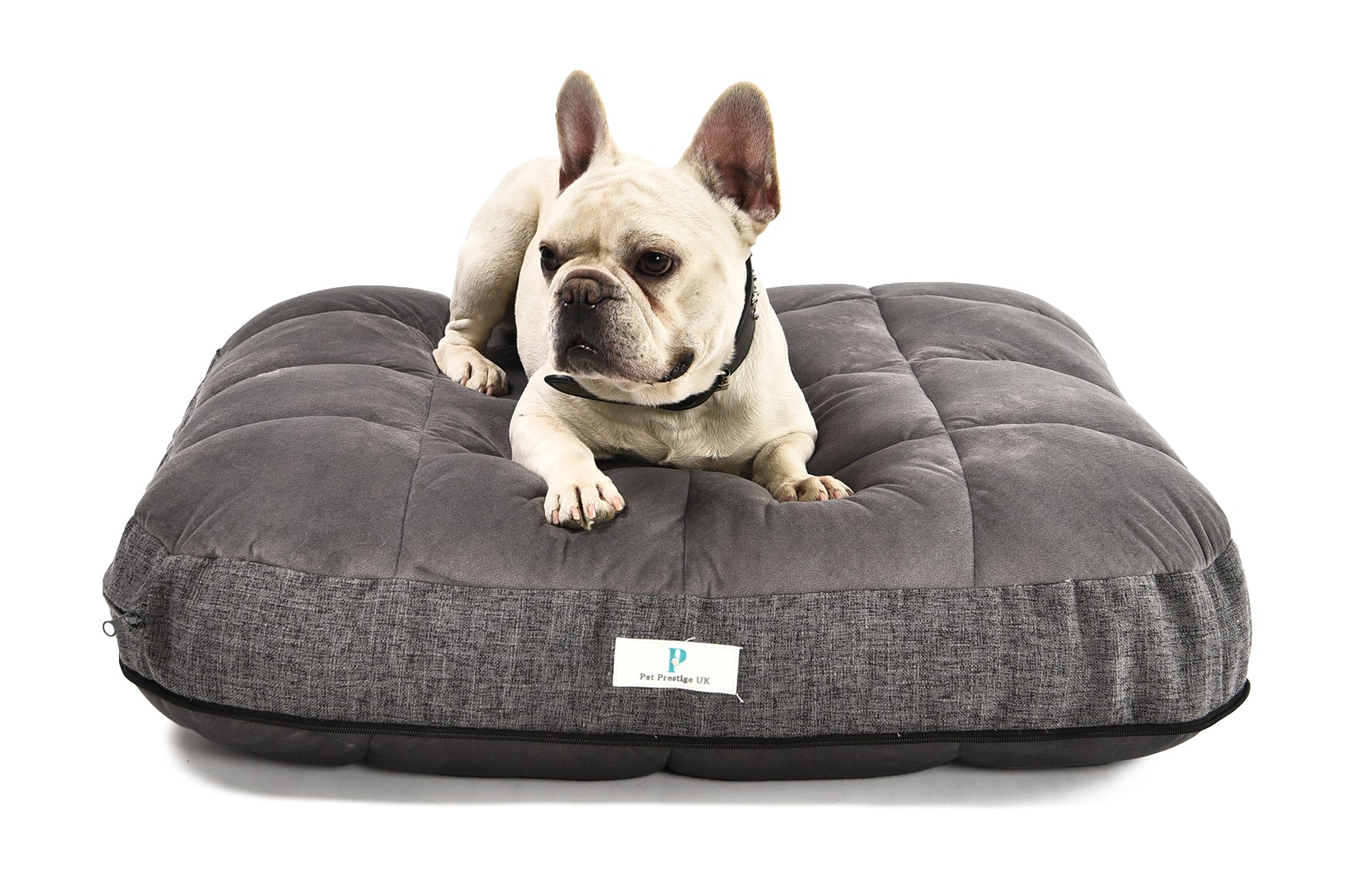 How to choose the best-shaped dog bed for your pet?