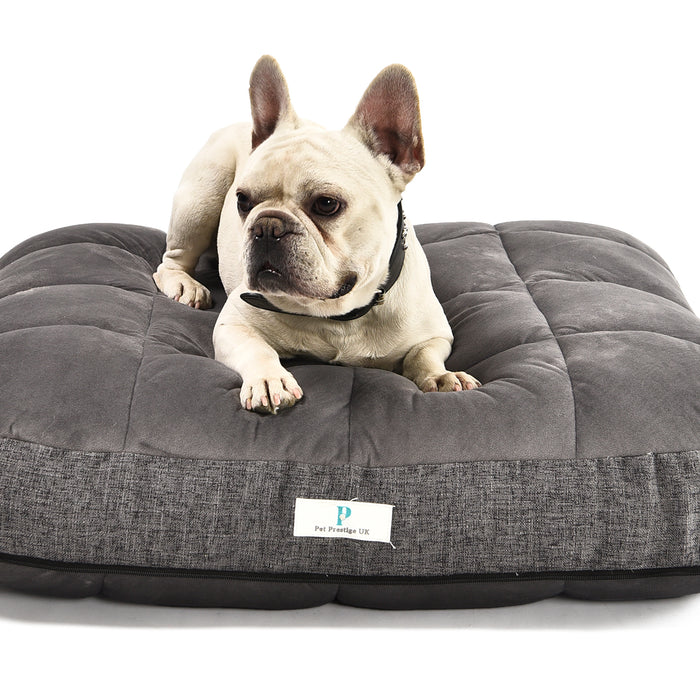 How to choose the best-shaped dog bed for your pet?