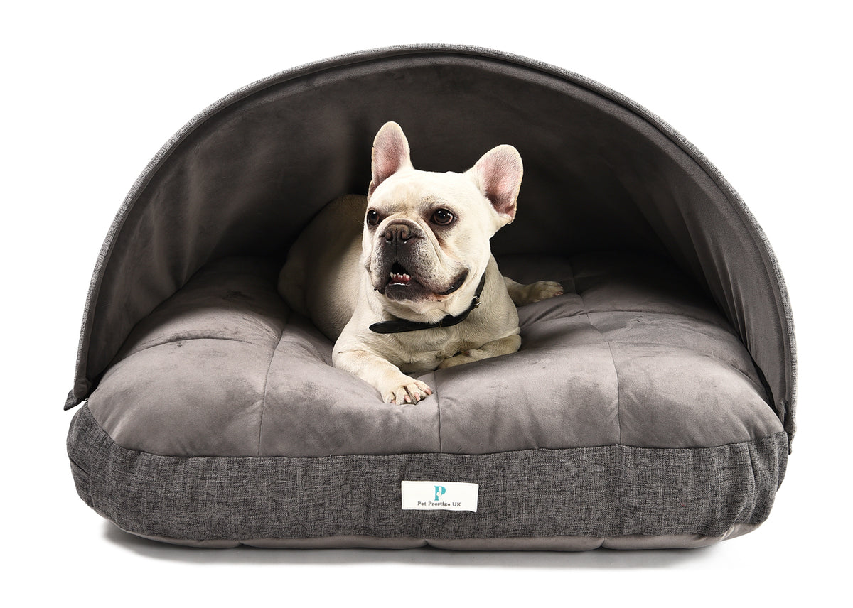 How To Choose The Right Bed For Your Dog Pet Prestige — Pet Prestige UK