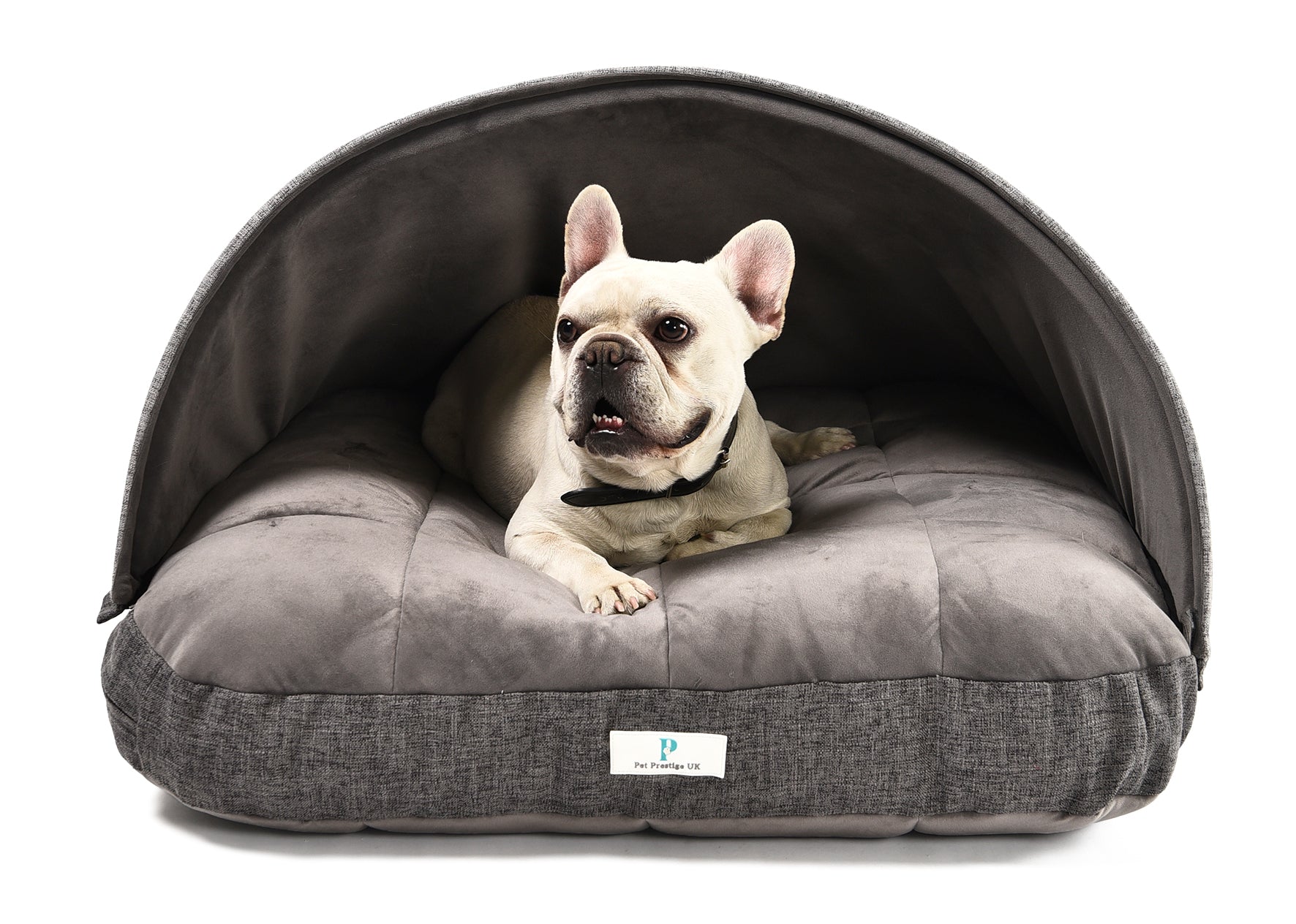 The Hideaway Cushion Luxury Dog Bed