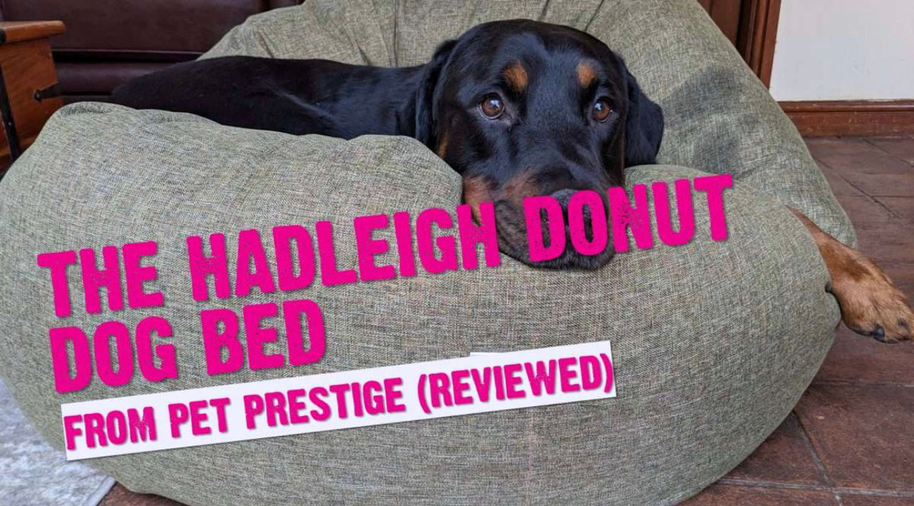 K9 Magazine Review - The Luxury Hadleigh Donut Bed - Click Below!