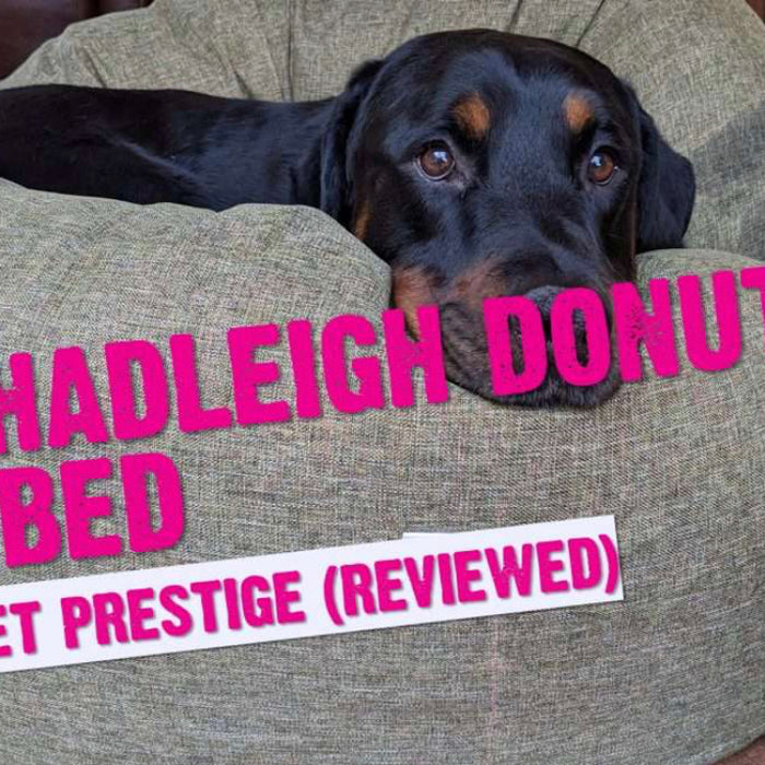 K9 Magazine Review - The Luxury Hadleigh Donut Bed - Click Below!