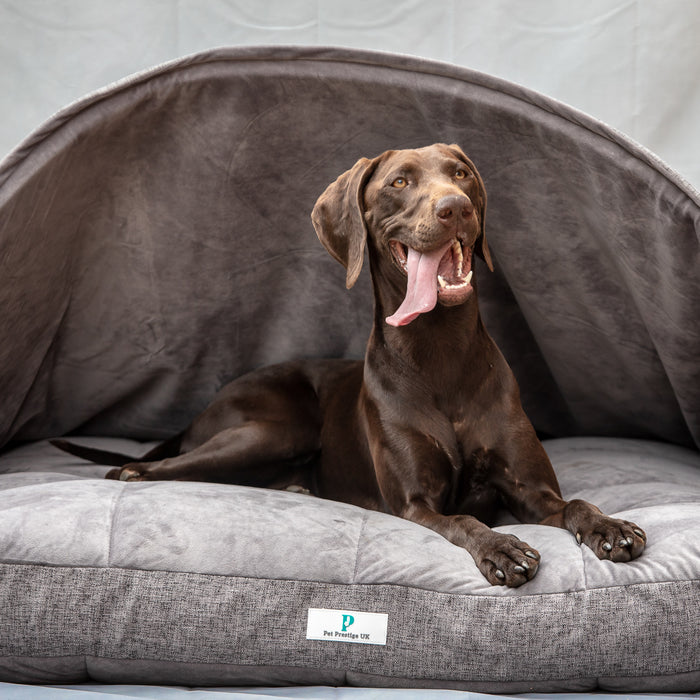 2 Dog Beds That’ll Have Your Doggie Dozing Off | Pet Prestige UK