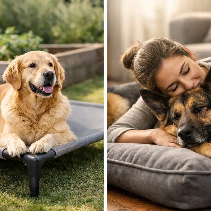 Raised Beds Versus Cushions: Which Is Best?