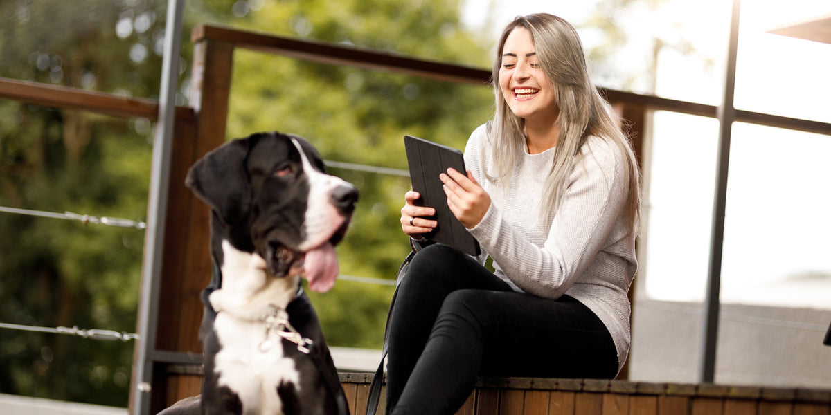 Pet Prestige Large Dog Care Tips — Pet Prestige UK