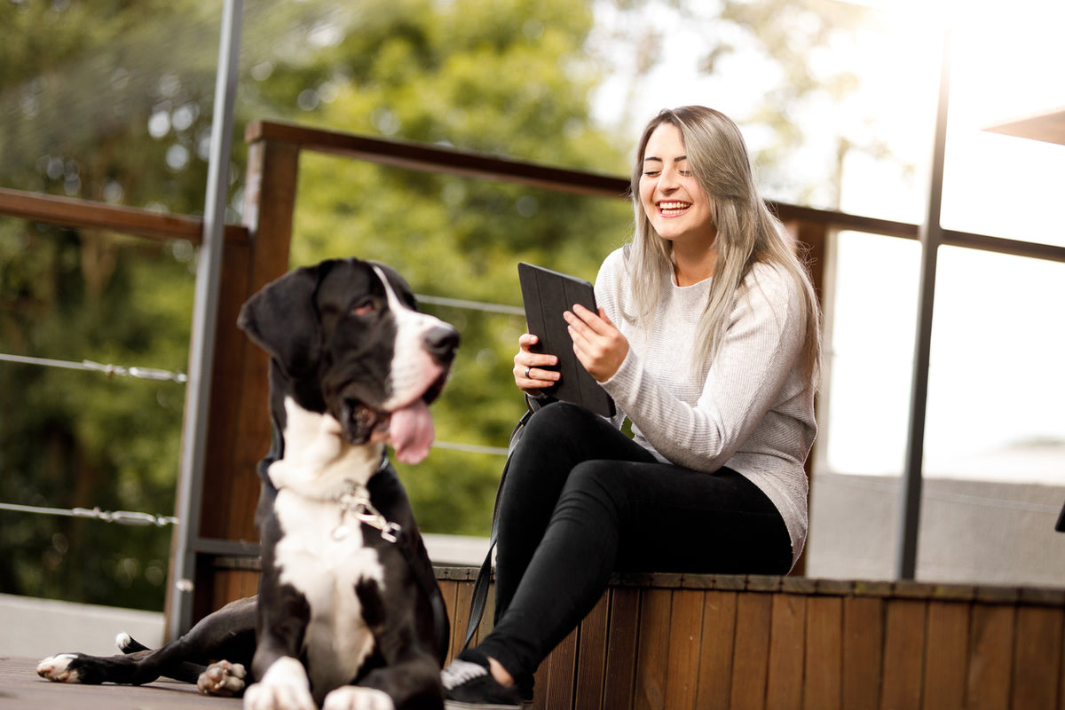 Pet Prestige Large Dog Care Tips — Pet Prestige UK