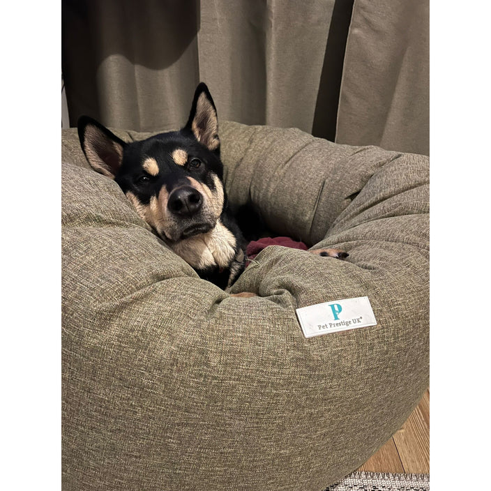 The Low Down on Luxury Donut Dog Beds — Pet Prestige UK