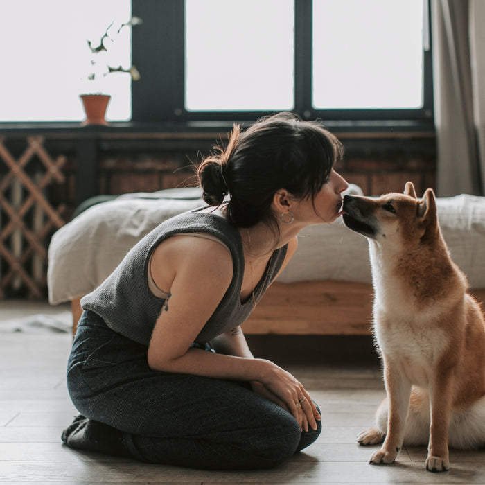 Unleashing Love: 7 Heartwarming Signs Your Dog is Head Over Paws for You