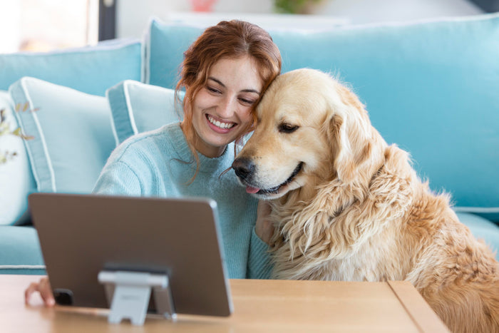 Tech Tails: Unleashing the Best of Pet-Friendly Gadgets in the UK