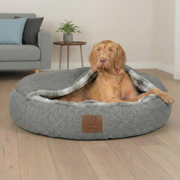 Cocoon beds