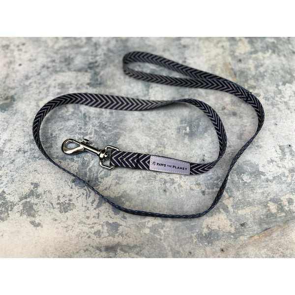 Leads