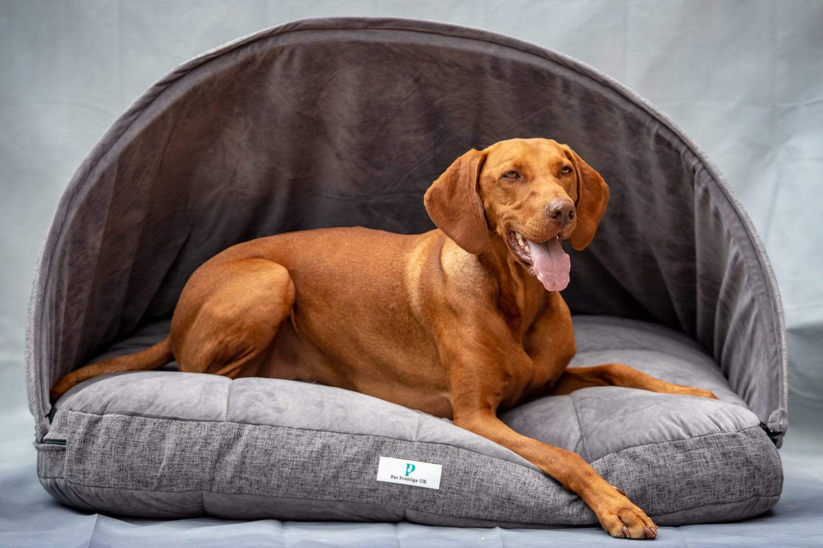 Dog Products — Pet Prestige UK