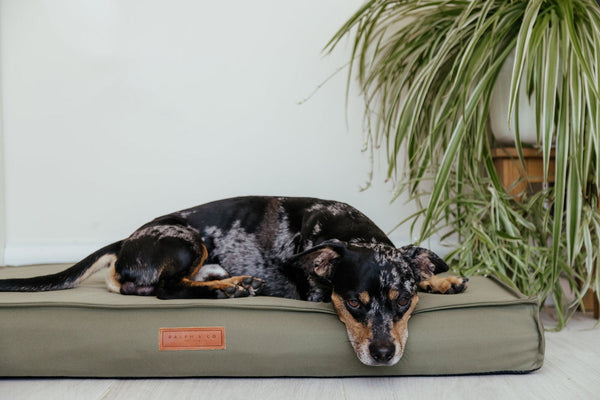 Waterproof beds