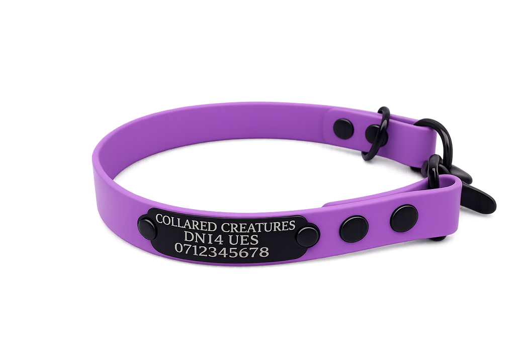 Amethyst Waterproof Biothane Slip Dog Collar