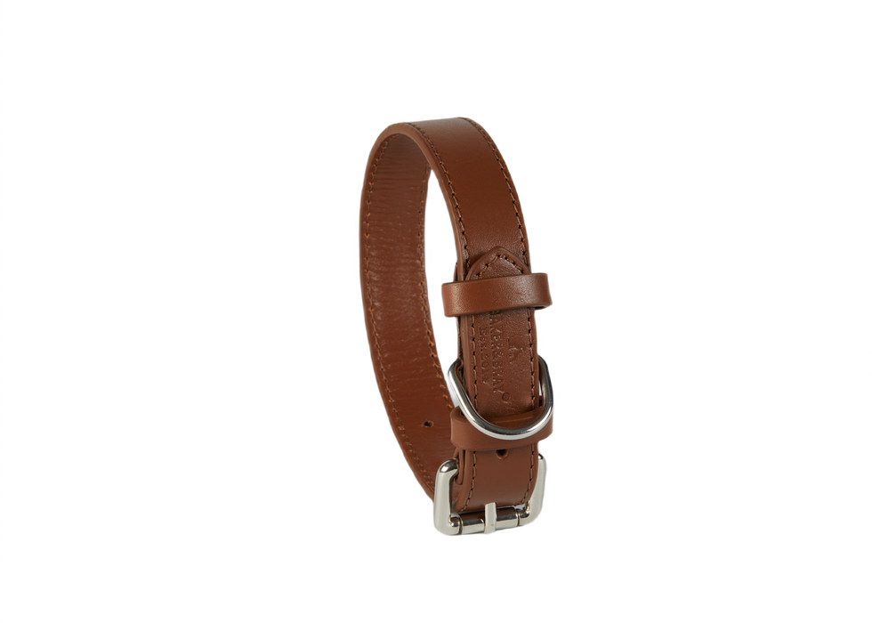 Eco Friendly Leather Dog Collar, Brown