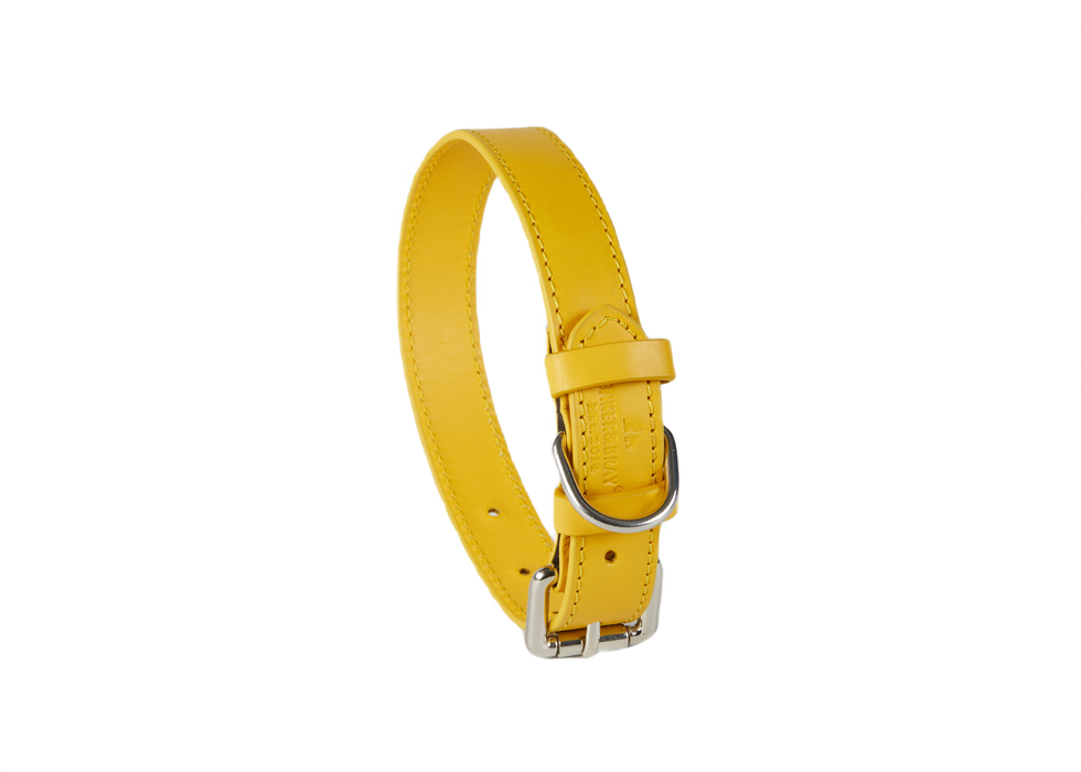 Eco Friendly Leather Dog Collar, Lemon