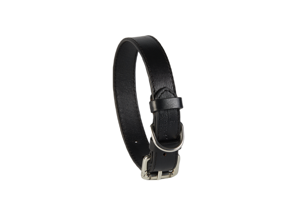 Eco Friendly Leather Dog Collar, Black