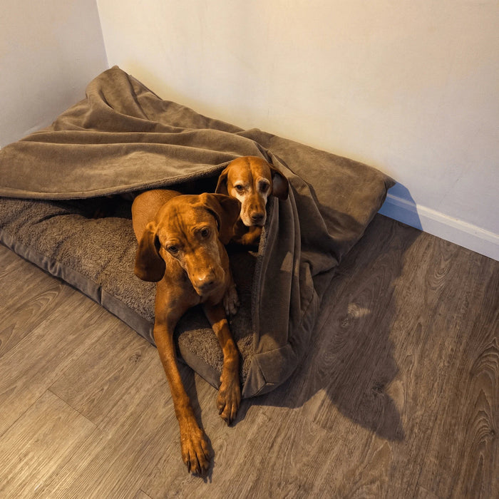 Collared Creatures - Monaco Paddle Luxury Dog Snuggle Bed / Snuggle Sack /Sleeping Sack Luxury Dog Bed