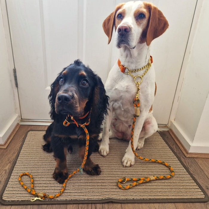 Maple Syrup Handmade Rope Dog Collar with whipping