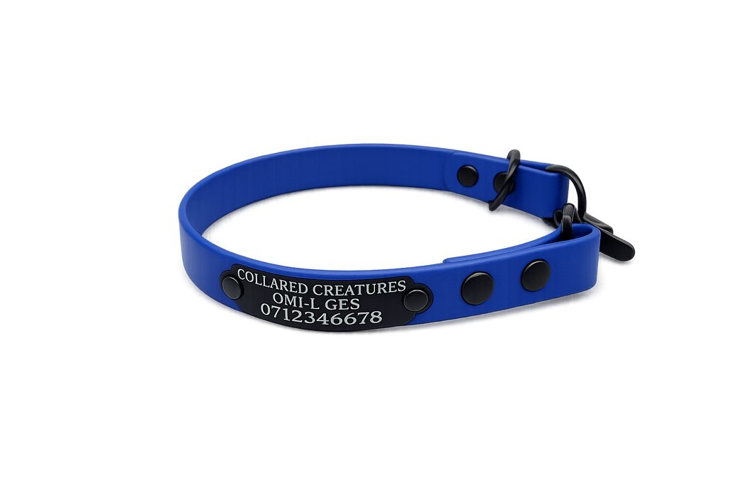 Electric Blue Waterproof Biothane Slip Dog Collar