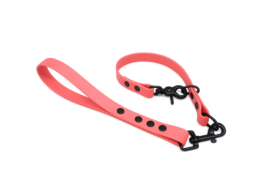 Coral Waterproof Biothane Slip Dog Collar