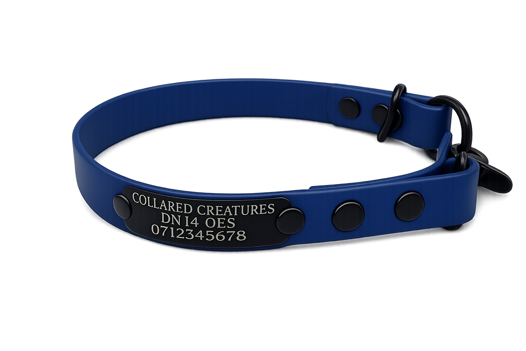 Navy Waterproof Biothane Slip Dog Collar