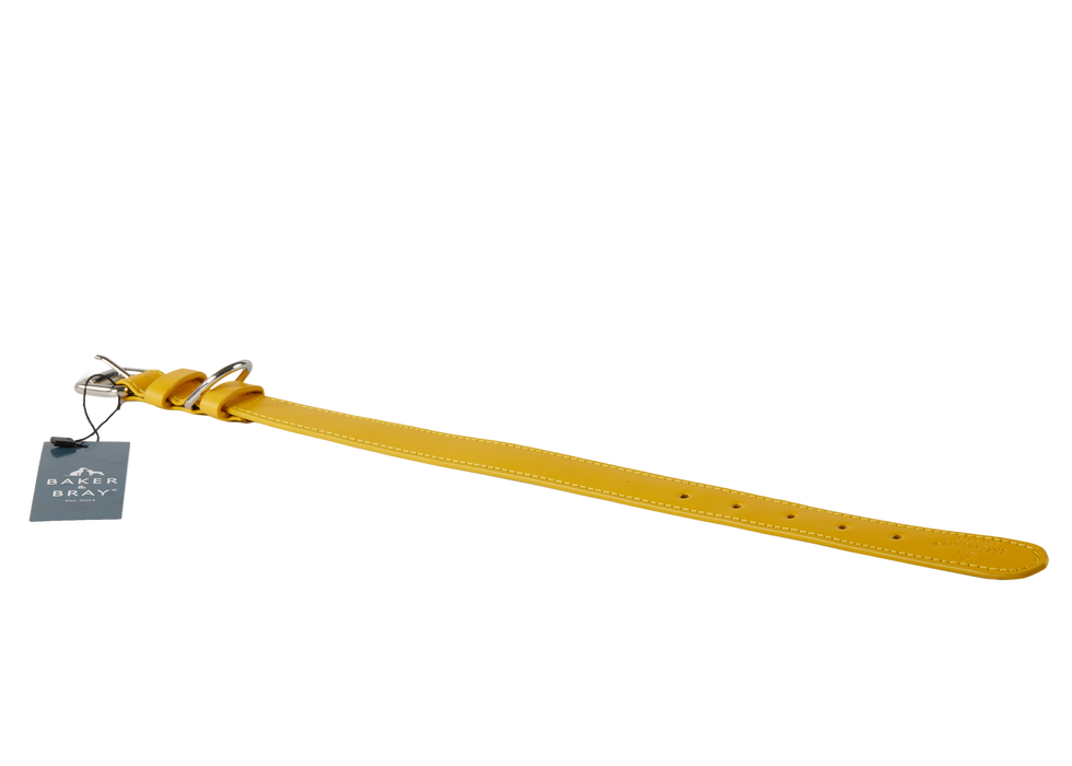 Eco Friendly Leather Dog Collar, Lemon