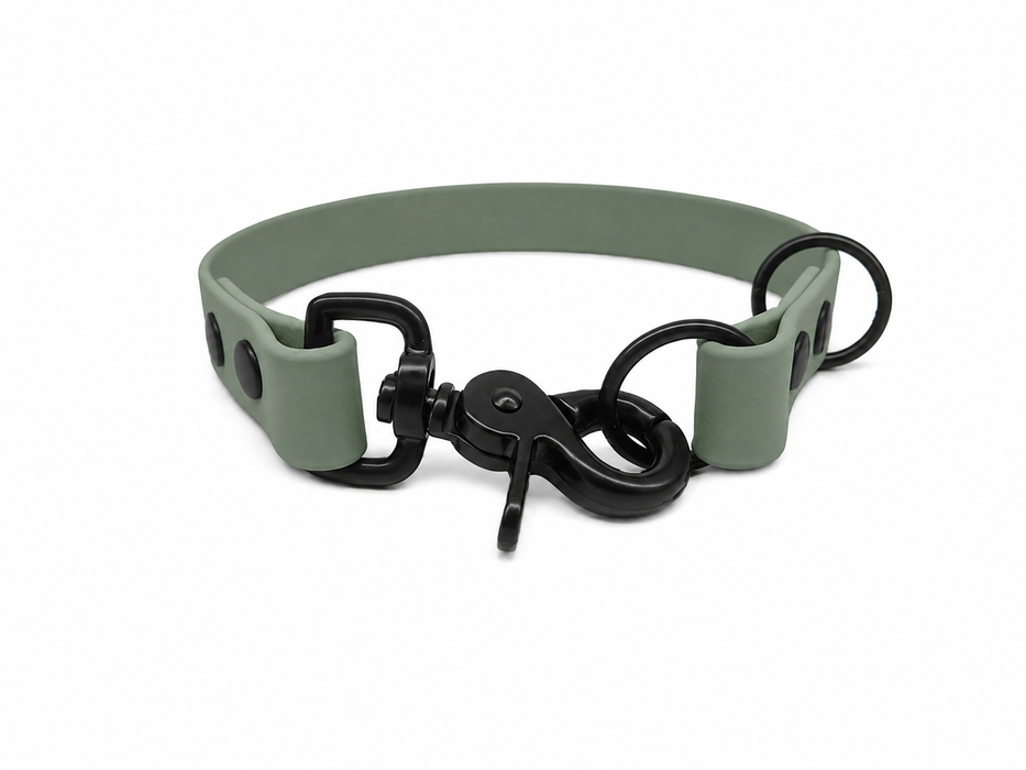 Country Green Waterproof Biothane Slip Dog Collar