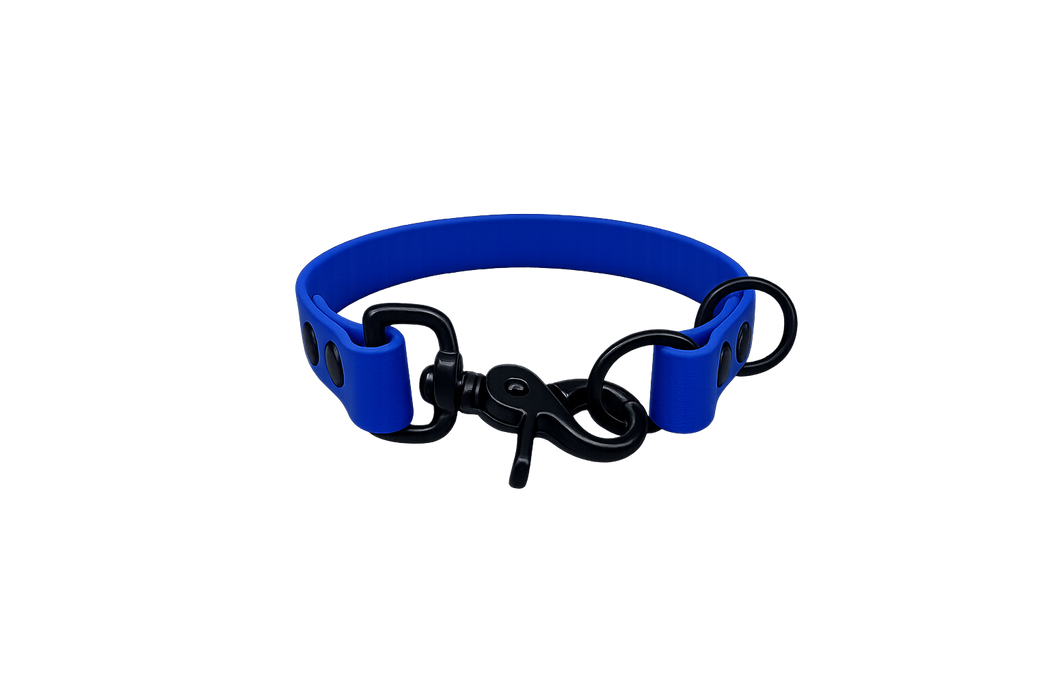 Electric Blue Waterproof Biothane Slip Dog Collar