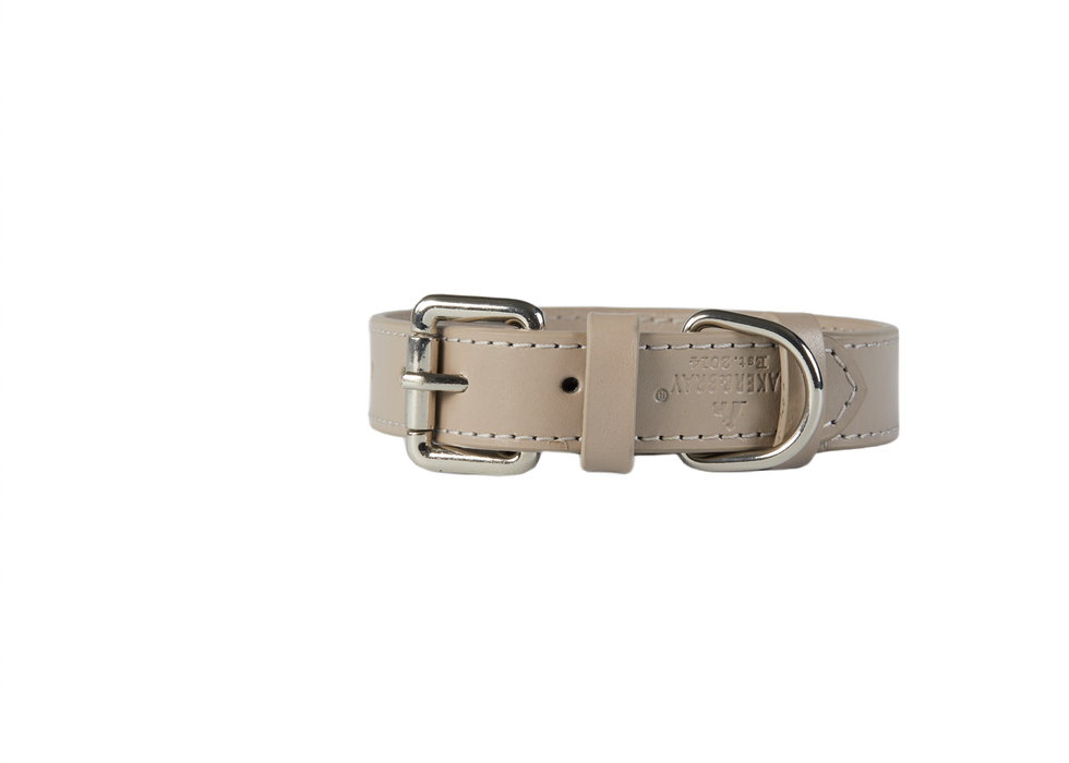 Eco Friendly Leather Dog Collar, Ash