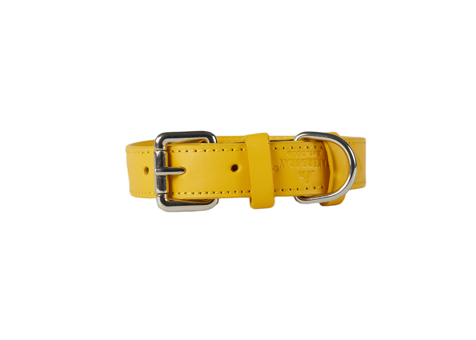 Eco Friendly Leather Dog Collar, Lemon