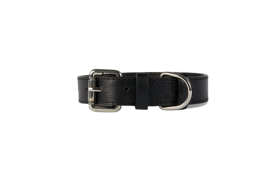 Eco Friendly Leather Dog Collar, Black