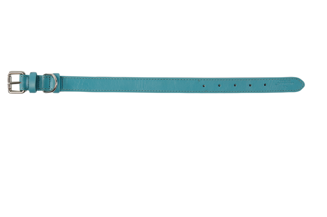 Eco Friendly Leather Dog Collar, Lagoon
