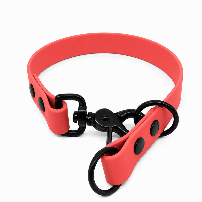 Coral Waterproof Biothane Slip Dog Collar