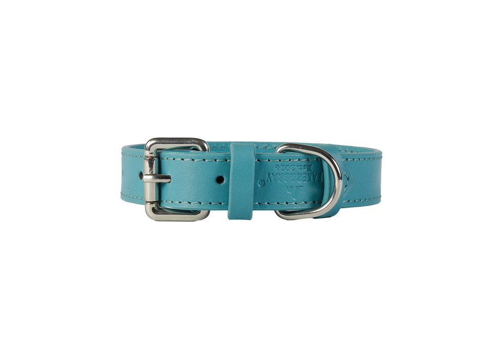 Eco Friendly Leather Dog Collar, Lagoon