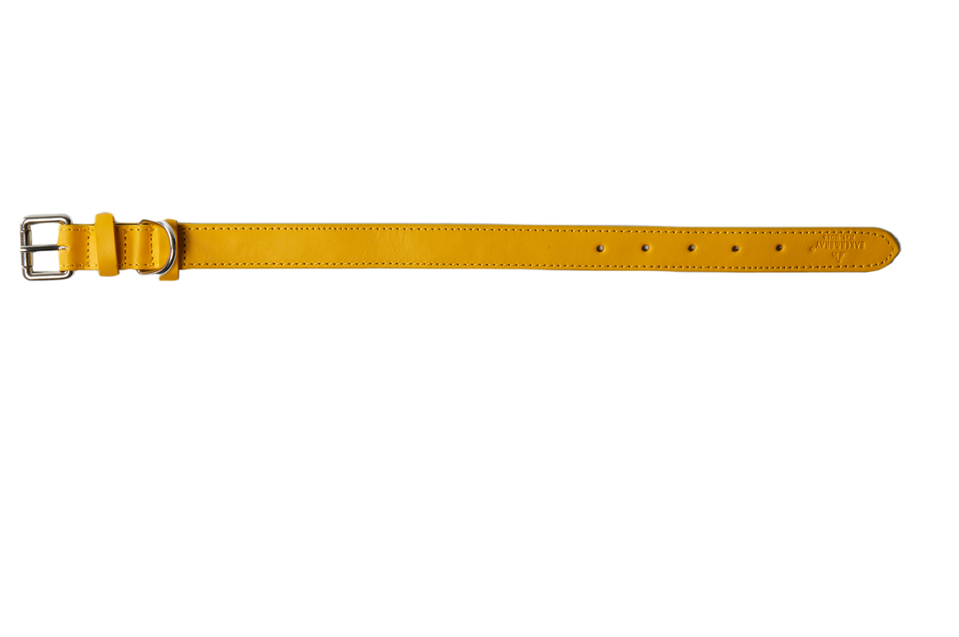 Eco Friendly Leather Dog Collar, Lemon