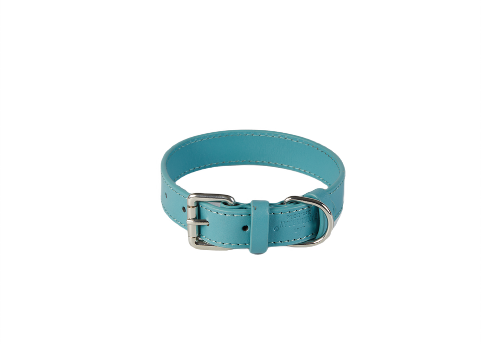 Eco Friendly Leather Dog Collar, Lagoon