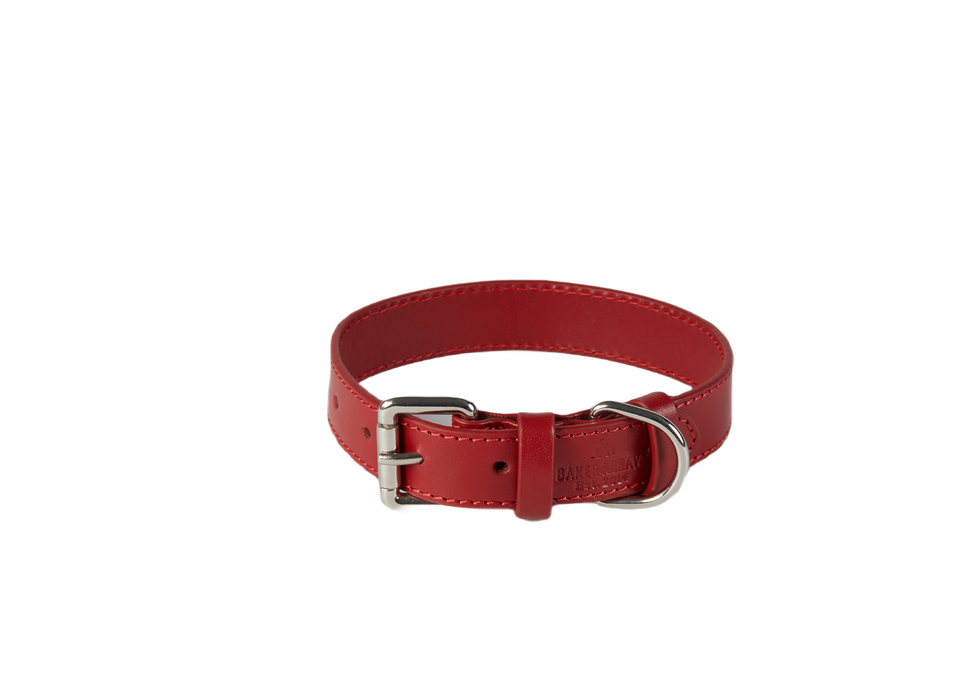 Eco Friendly Leather Dog Collar, Rose