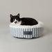 Scruffs Coastal Cat Bed- cat bed
