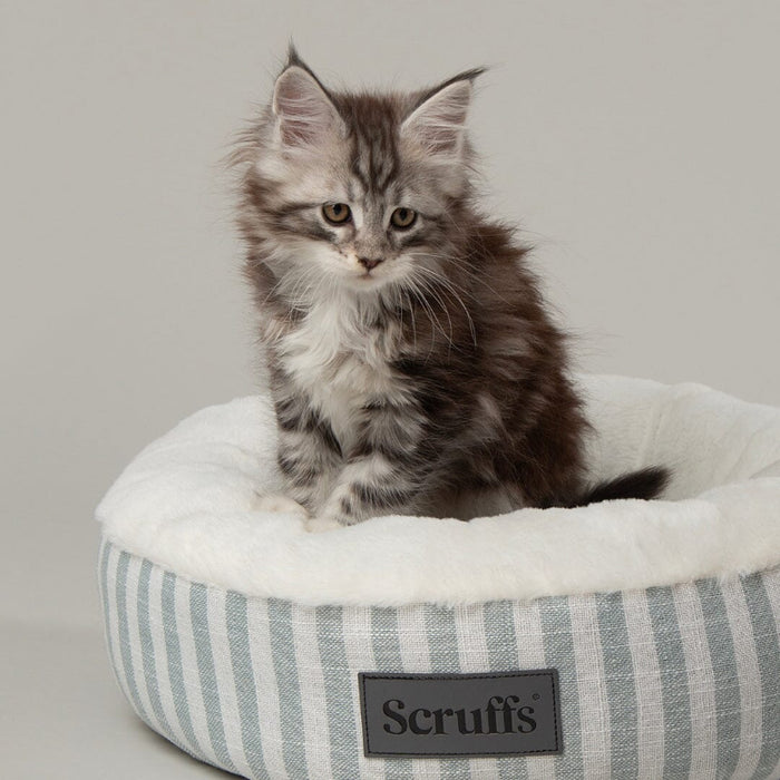 Scruffs Coastal Cat Bed- cat bed