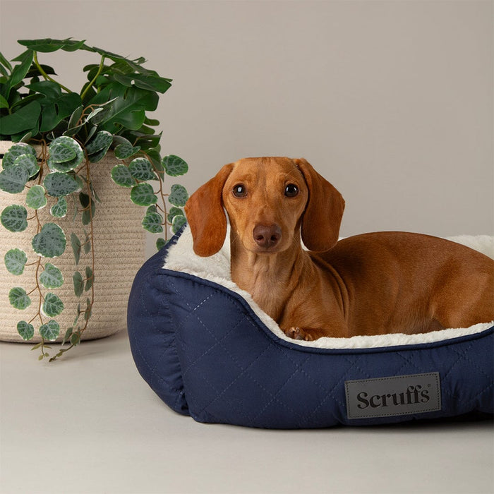 Scruffs® Wilton Box Dog Bed - Navy Blue