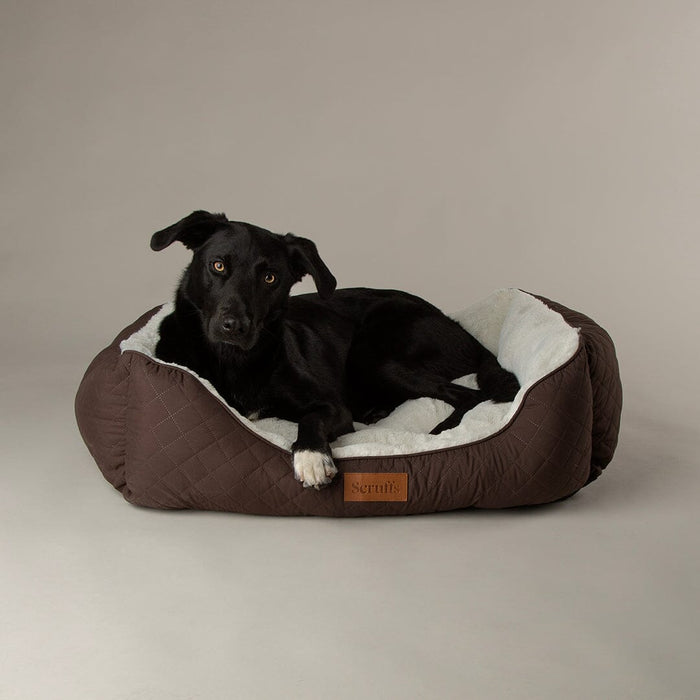 Scruffs® Wilton Box Dog Bed - Chocolate Brown
