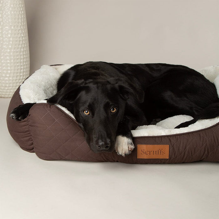 Scruffs® Wilton Box Dog Bed - Chocolate Brown