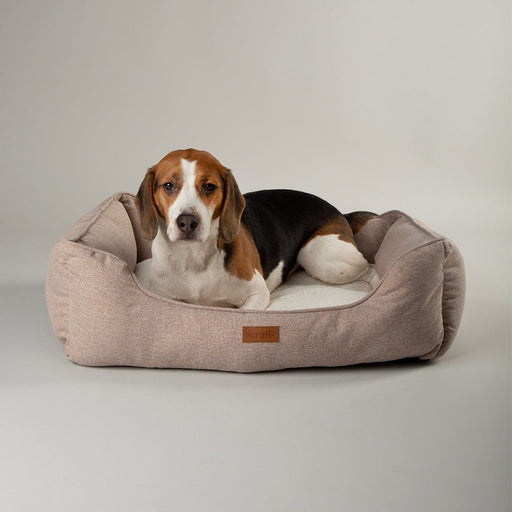 Scruffs Harmony Dog Bed - Dog Bed
