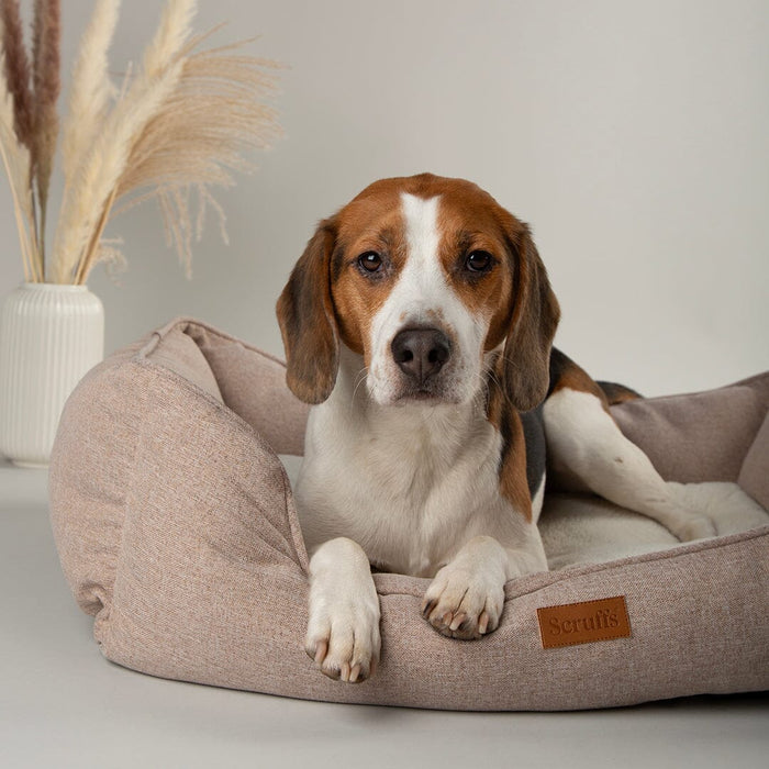 Scruffs Harmony Dog Bed - Dog Bed