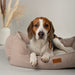 Scruffs Harmony Dog Bed - Dog Bed